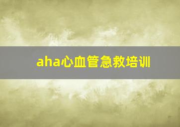 aha心血管急救培训