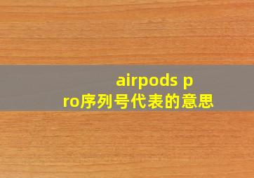 airpods pro序列号代表的意思