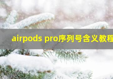 airpods pro序列号含义教程