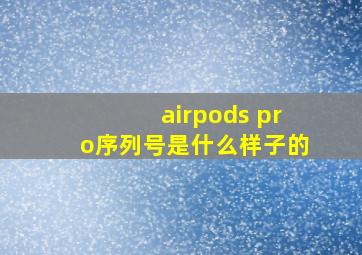 airpods pro序列号是什么样子的