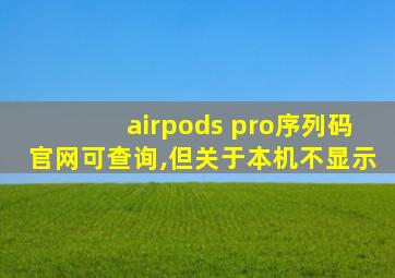 airpods pro序列码官网可查询,但关于本机不显示