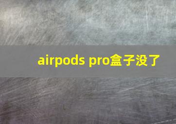 airpods pro盒子没了