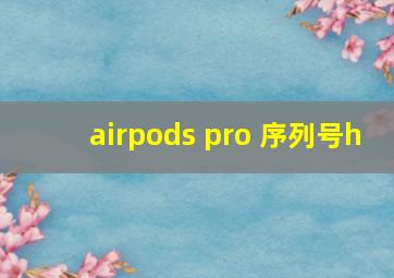 airpods pro 序列号h