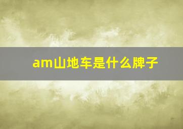 am山地车是什么牌子