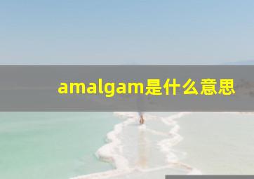 amalgam是什么意思