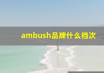 ambush品牌什么档次