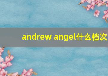 andrew angel什么档次