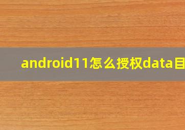 android11怎么授权data目录