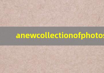 anewcollectionofphotos译文