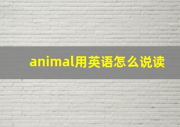 animal用英语怎么说读