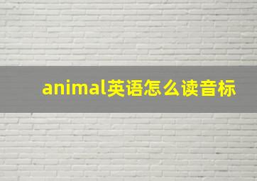 animal英语怎么读音标