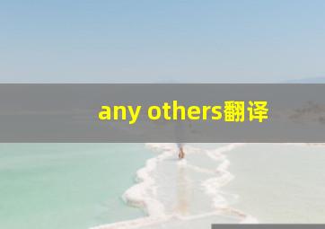 any others翻译