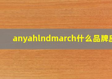 anyahlndmarch什么品牌皮包