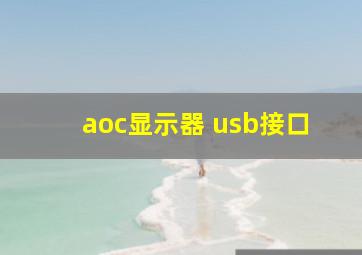 aoc显示器 usb接口