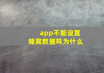 app不能设置蜂窝数据吗为什么