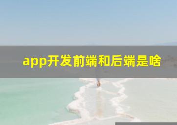 app开发前端和后端是啥