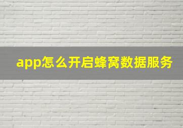 app怎么开启蜂窝数据服务