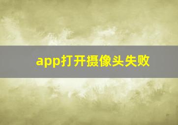 app打开摄像头失败