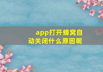 app打开蜂窝自动关闭什么原因呢