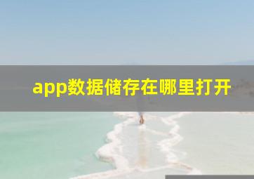 app数据储存在哪里打开