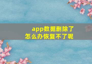 app数据删除了怎么办恢复不了呢