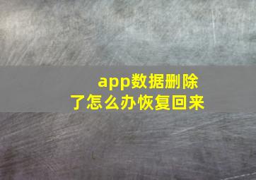 app数据删除了怎么办恢复回来