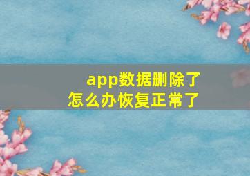 app数据删除了怎么办恢复正常了