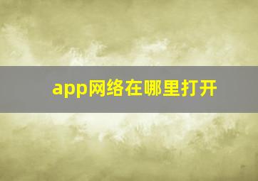 app网络在哪里打开