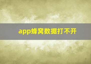 app蜂窝数据打不开