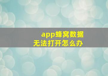 app蜂窝数据无法打开怎么办