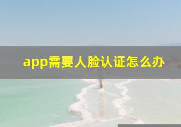 app需要人脸认证怎么办