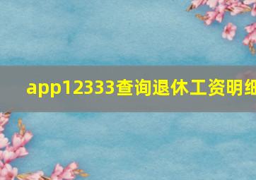 app12333查询退休工资明细