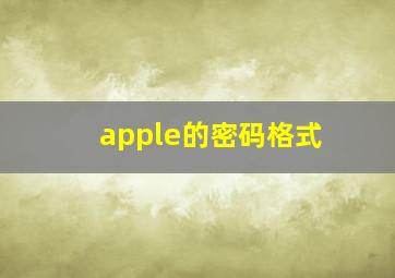 apple的密码格式