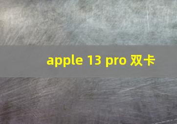 apple 13 pro 双卡