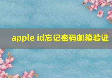 apple id忘记密码邮箱验证