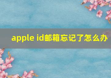 apple id邮箱忘记了怎么办