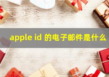 apple id 的电子邮件是什么