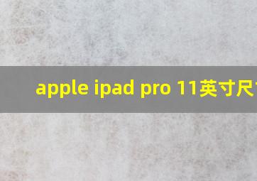 apple ipad pro 11英寸尺寸