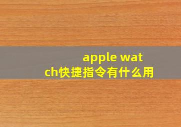 apple watch快捷指令有什么用