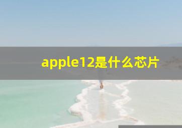 apple12是什么芯片