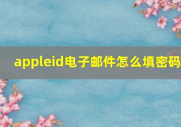 appleid电子邮件怎么填密码