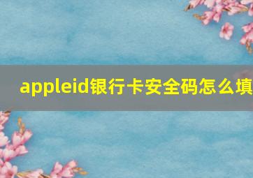 appleid银行卡安全码怎么填