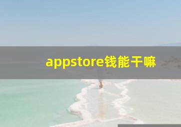 appstore钱能干嘛