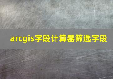 arcgis字段计算器筛选字段