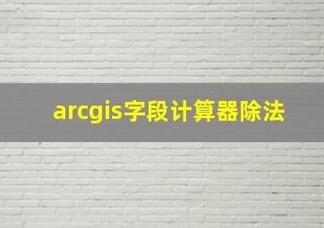 arcgis字段计算器除法