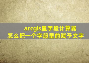 arcgis里字段计算器怎么把一个字段里的赋予文字