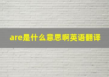 are是什么意思啊英语翻译