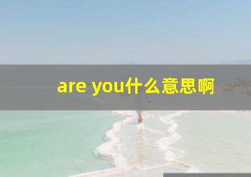 are you什么意思啊