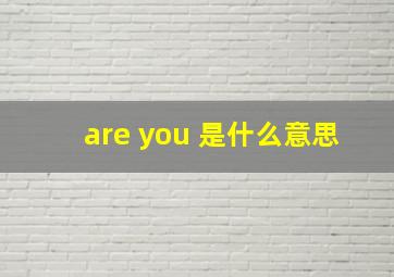 are you 是什么意思