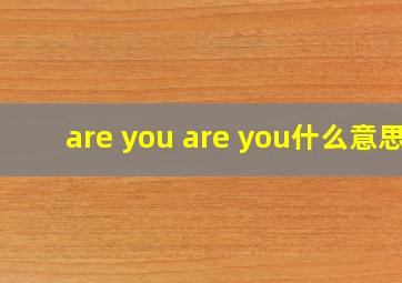 are you are you什么意思